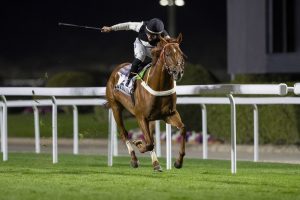 الحصان ستار اوف ونز بطلاً للنسخة الأولى لكأس الأمير خالد بن عبدالله