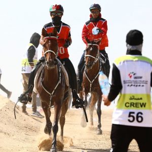 10 صور ترصد مراحل سباقات مهرجان الشيخ سلطان بن زايد للقدرة