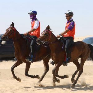 10 صور ترصد مراحل سباقات مهرجان الشيخ سلطان بن زايد للقدرة