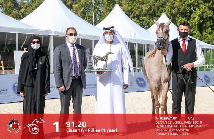 15 صورة من بطولة أبوظبي الدولية لجمال الخيول العربية في يومها الأول
