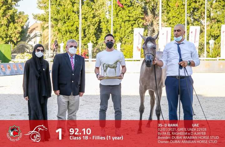 15 صورة من بطولة أبوظبي الدولية لجمال الخيول العربية في يومها الأول