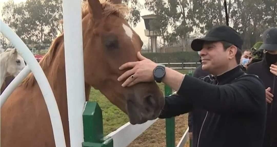 بالصور.. الرئيس عبدالفتاح السيسي يداعب الخيول خلال زيارته للكلية الحربية  