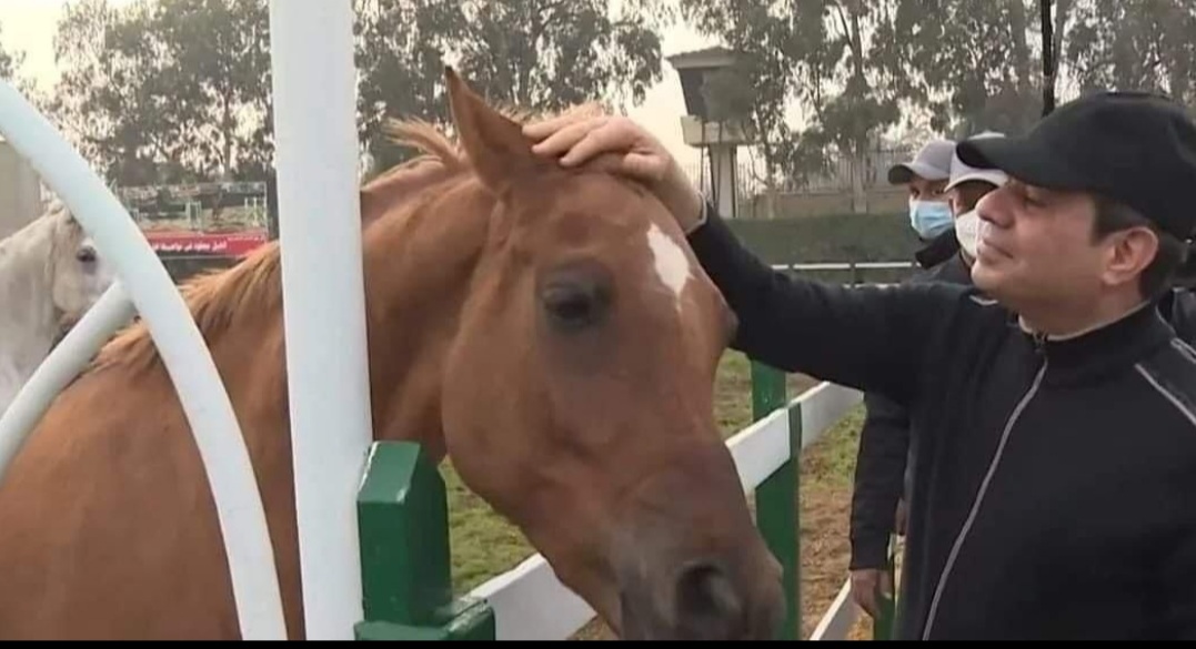 بالصور.. الرئيس عبدالفتاح السيسي يداعب الخيول خلال زيارته للكلية الحربية  
