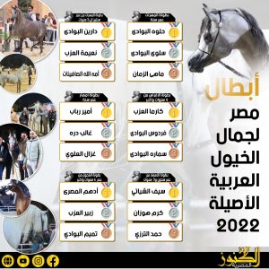 أبطال مصر لجمال الخيول العربية الأصيلة 2022 "انفوجراف"