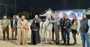 10 صور ترصد الأجواء التنافسية لبطولة مصر لجمال الخيول العربية الأصيلة